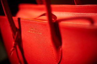 The iconic PAULE KA TRAPEZE bag i