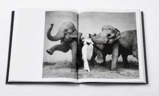 Dior by Avedon